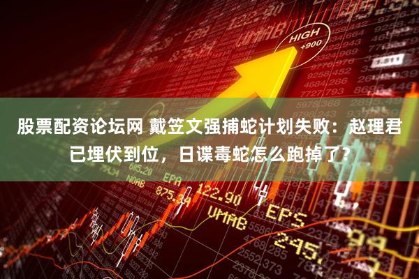 股票配资论坛网 戴笠文强捕蛇计划失败：赵理君已埋伏到位，日谍毒蛇怎么跑掉了？