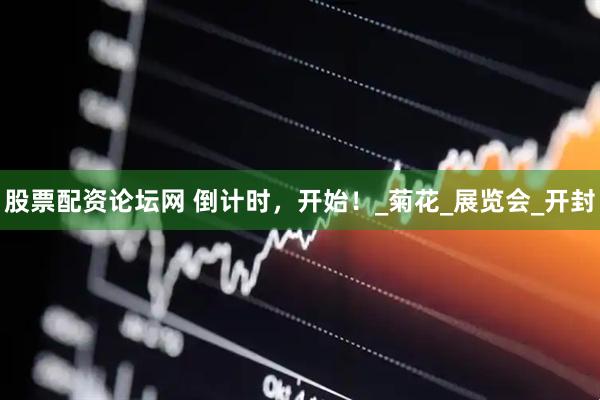 股票配资论坛网 倒计时，开始！_菊花_展览会_开封
