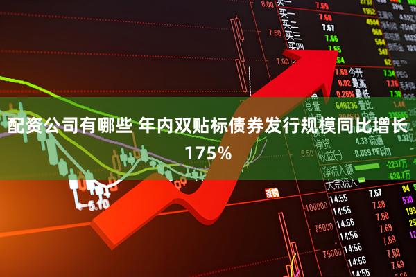 配资公司有哪些 年内双贴标债券发行规模同比增长175%