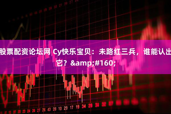 股票配资论坛网 Cy快乐宝贝:未路红三兵,谁能认出它? 