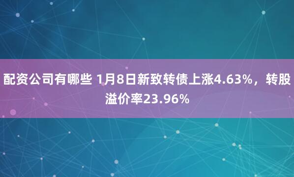 配资公司有哪些 1月8日新致转债上涨4.63%，转股溢价率23.96%