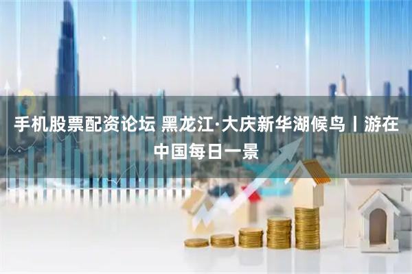 手机股票配资论坛 黑龙江·大庆新华湖候鸟丨游在中国每日一景