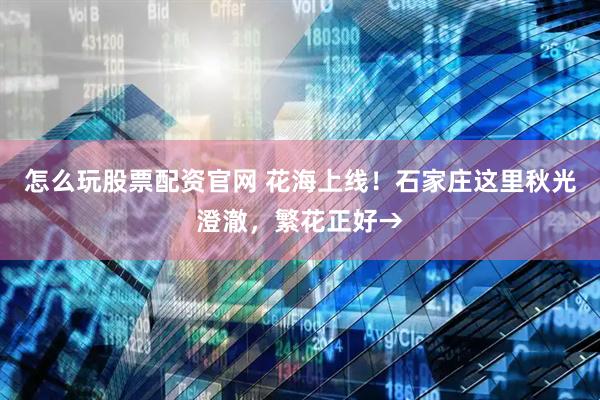 怎么玩股票配资官网 花海上线！石家庄这里秋光澄澈，繁花正好→